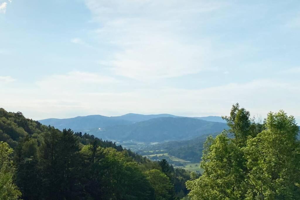 Schöfweg Mitten Im Bayerischen Wald + Schonblick + Urig + Netflix المظهر الخارجي الصورة